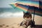 the cat rests under an umbrella on the beach