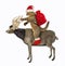 Cat rides christmas reindeer