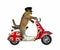 Cat riding english moped