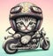 cat riding hot rod steampunk motorcycles wearing ponchos in desert road