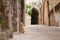 Cat on the Road in Nablus Israel Stone Road Arch Background