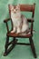 Cat on rocking chair