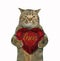 Cat with a ruby heart