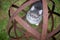 Cat in rusty garden orb