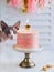 Cat`s birthday. Cute sphynx cat near the birthday party cake a white light background with golden stars candles, copy space.