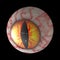 Cat\'s eye