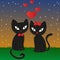 Cat\'s night - Illustration,