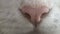 Cat\'s nose. Pink cat nose.