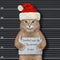 Cat Santa knocked Christmas tree 2