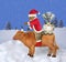 Cat Santa rides ox 4