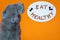 Cat Scottish Fold and plate with words Eat Healthy made of cherry kernels