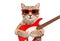 Cat Scottish Straight in sunglasses with electric guitar