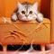 cat scratched orange chair office work from home copy