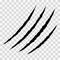 Cat scratches. Animal claw marks in black. Monster or dinosaur attack slash stripes on transparent background. Vector