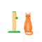 Cat and scratching post. Rope posts for cat to sharpen claws. Cat tree with toys. Supplies and accessories for domestic
