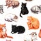 Cat seamless pattern. Many cats various colors, a lot of kitten. Watercolor repeated animal illustration background
