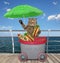 Cat sells hot dogs on boardwalk