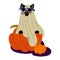 A cat in a sheet and glasses on Halloween is sitting on a pumpkin. Cute black cat in blue glasses with bats. Funny