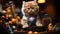 a cat with shirt and dungarees squats in the middle of toys, generative AI