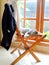 Cat sick Lying On wooden chair