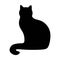 Cat silhouette icon, vector black cat minimal shape kitty clip art in glyph pictogram