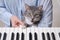 The cat sings and presses a key on an electronic piano while helping a female musician play