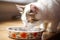 cat sipping water from a ceramic bowl