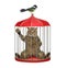 Cat sits in bird cage