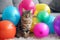 Cat sits among the festive decorations. Kitten among balloons. Generative AI