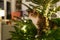 Cat sits inside the Christmas tree surrounded by LED garland, stuck or climbing on new year tree.