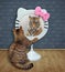 Cat sits near funny round mirror 2