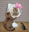 Cat sits near funny round mirror 3