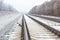 The cat sits on the railway. Winter, a beautiful forest. Background.