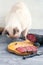 A cat sits on a table and sniffs a sliced smoked sausage.