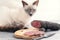 A cat sits on a table and sniffs a sliced smoked sausage.