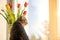 The cat sits on the window on a winter day and looks out the window. There are tulips on the windowsill