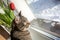 The cat sits on the window on a winter day and looks out the window. There are tulips on the windowsill