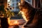 cat sits on a windowsill in an apartment, illuminated by the light of a nearby candle next to a vase of flowers