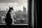 The cat sits on the windowsill and looks at the evening city. Black and white photo