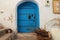 Cat sitting on a few steps at the door of a house