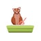 Cat sitting in litter box. Clipart image. Kitty that sits in a cat litter tray. Cat in the toilet . Flat cartoon style 