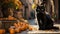 A cat sitting on a sidewalk next to pumpkins