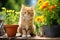 A Cat Sitting On A Table Next To A Potted Plant