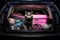 Cat sitting trunk car ready for travel. Generate Ai