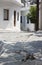 Cat sleeping on Narrow street in Naxos island