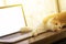 Cat sleeping over a blank screen laptop on wooden desk