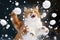 Cat smacked by snowball. Cute kitten with surprised and angry face, hit by snow during snow fight. Generated AI.