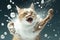 Cat smacked by snowball. Cute kitten with surprised and angry face, hit by snow during snow fight. Generated AI.