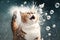 Cat smacked by snowball. Cute kitten with surprised and angry face, hit by snow during snow fight. Generated AI.