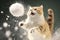 Cat smacked by snowball. Cute kitten with surprised and angry face, hit by snow during snow fight. Generated AI.